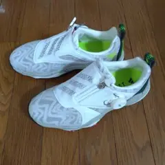 adidas Golf コードカオス BOA 25 23.5cm