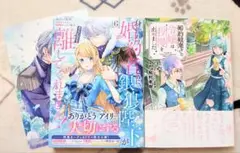 フロースコミック新刊　2冊