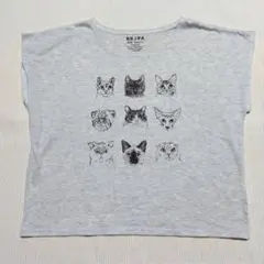 BBJPA #00 basic 猫柄 半袖Tシャツ グレー FREEのサムネイル