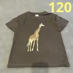キリン柄 半袖Tシャツ ブラウンのサムネイル