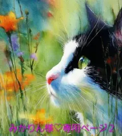 みかりん様♡専用ページ