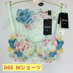 Salute ブラジャーショーツセット D65 M - メルカリ