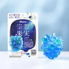 カンロ　空想果実イトピスの実 グミのサムネイル