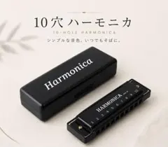新品　10穴 ハーモニカ　ブラック　黒　楽器　ケース付き　演奏　練習　シックのサムネイル
