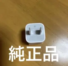 iPhone純正イヤホン付属品　電源アダプター