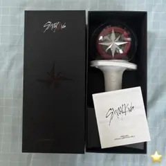 2025年最新】スキズ ペンライト ver2の人気アイテム - メルカリ