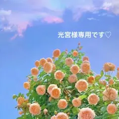 光宮様 リクエスト 3点 まとめ商品