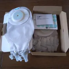 Item thumbnail for item 1676304f-07a9-4d3d-b263-d805a5eac97d