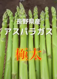 信州産　アスパラガス　Lサイズ　600g　ネコポス発送 信州産 アスパラガス Lサイズ 600g ネコポス発送 - メルカリ