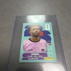 Panini FIFA World Cup 2026 ヴォジーニャ - メルカリ