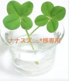 ナナスズ⑅︎◡̈︎*様専用のサムネイル