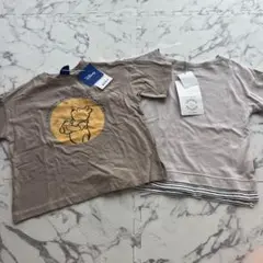 Item thumbnail for item 7b4b419c-4947-47f6-9766-e8865cec6521