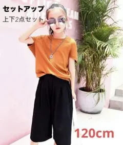 セットアップ 子供 120cm キッズ 上下セット 女の子 半袖 ワイドパンツ