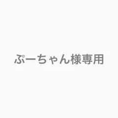 ぷーちゃん様専用