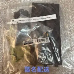 クワガタ02 エラフスホソアカクワガタ（グリーン）