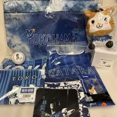 ベイスターズ ファンフェス 記念グッズ