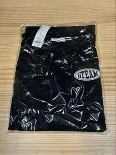 &TEAM WEGO ワンポイント刺繍 ロングTシャツ