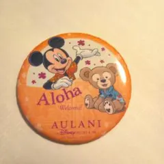 アラウニリゾート　缶バッチのサムネイル