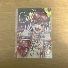 ぷちの様 リクエスト 4点 まとめ商品