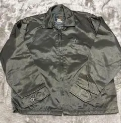 Item thumbnail for item 702cfe8f-8400-4a69-a676-1257c3fea6ec