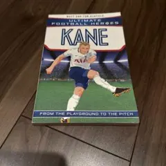 Ultimate Football Heroes KANE