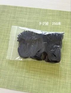 Item thumbnail for item 800fb387-6bca-422f-9628-bd77bc929230