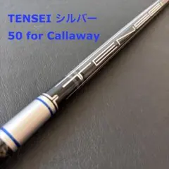 Item thumbnail for item 9720e973-7a69-40d4-b036-4b88f99cd2d6