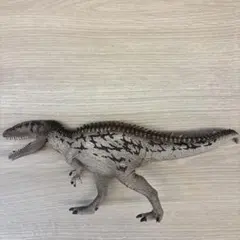 カルカロドントサウルスのサムネイル