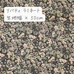 Petit bonheur by.ruu様 リクエスト 3点 まとめ商品