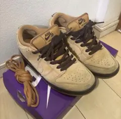 Nike SB Dunk Low Pro 