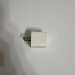 USB-C 充電器 2ピンプラグ