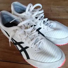 Item thumbnail for item 63182c79-effd-46cd-b49b-9c4ca69eaeb6