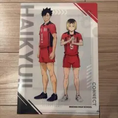 ハイキュー くら寿司 クリアファイル 音駒高校 孤爪 研磨 黒尾 鉄朗