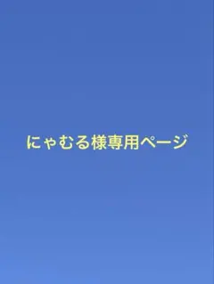 にゃむる様専用ページ