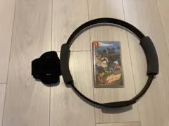 Ring Fit Adventure + リングコン・レッグバンド(外箱無し)