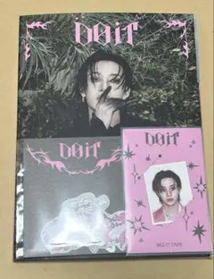 （開封済）Stray Kids バンチャンdo it アコーディオンver