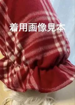 Item thumbnail for item 486c6df1-a721-460d-a0c5-9eaadf2dee1f