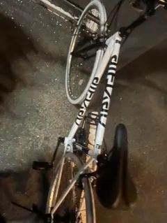 ネクスタイルNextyle NEXTYLE 子供用自転車 クロスバイク 22インチ 泥除け付き シマノ