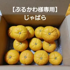 【ぶるかわ様専用】じゃばら　合計13個　1.9kg