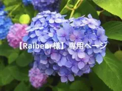 【Raibear様】専用ページです。