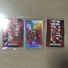 バレーボール トレーディングカードセット