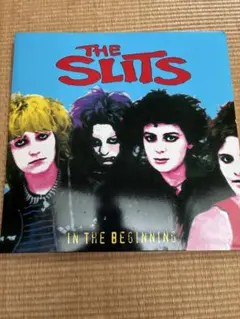 The Suicide Twins レコード輸入盤 ハノイロックスメンバー - メルカリ