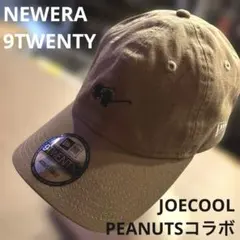 NEWERA / PEANUTS / コラボ / 9TWENTY / BROWNのサムネイル