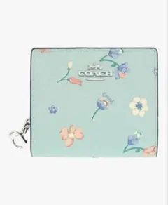 Item thumbnail for item 091996d3-8d8b-4777-8a93-dc55f74b7d11