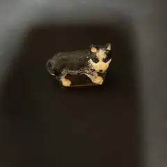 犬フィギュア カプセルトイ