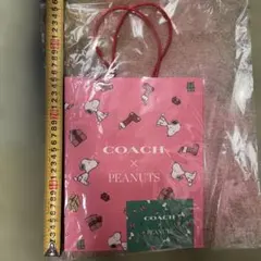 【送料無料】COACH × PEANUTS スヌーピー ショップ袋