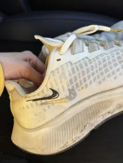 Nike エアズームペガサス37プレミアム