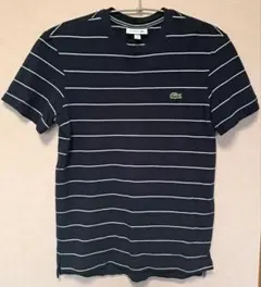 LACOSTE ネイビー ホワイトストライプ Tシャツ US XS