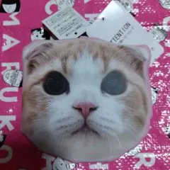 Item thumbnail for item ff2a6584-facf-4fdc-9227-6e6f8da86cf1