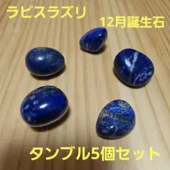 ラピスラズリ タンブル 5個セット 天然石 パワーストーン 12月誕生石